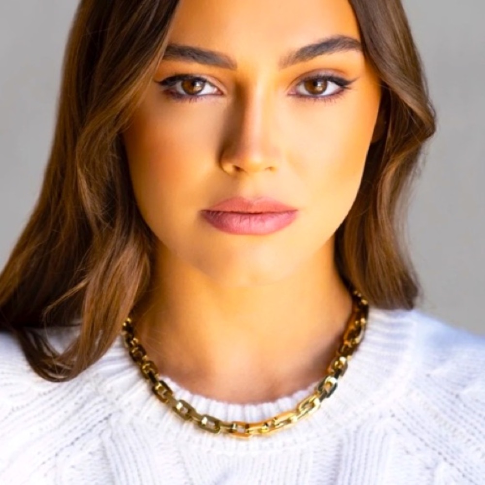 Eddie Borgo | [12K GOLD VERMEIL] Chunky Chain Supra Link Power Necklace - Picture 3 of 8